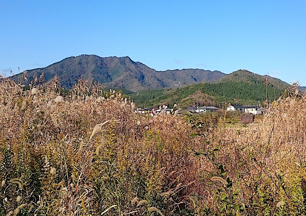 秋の風景_中島