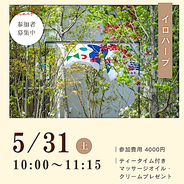 美巡のチラシ