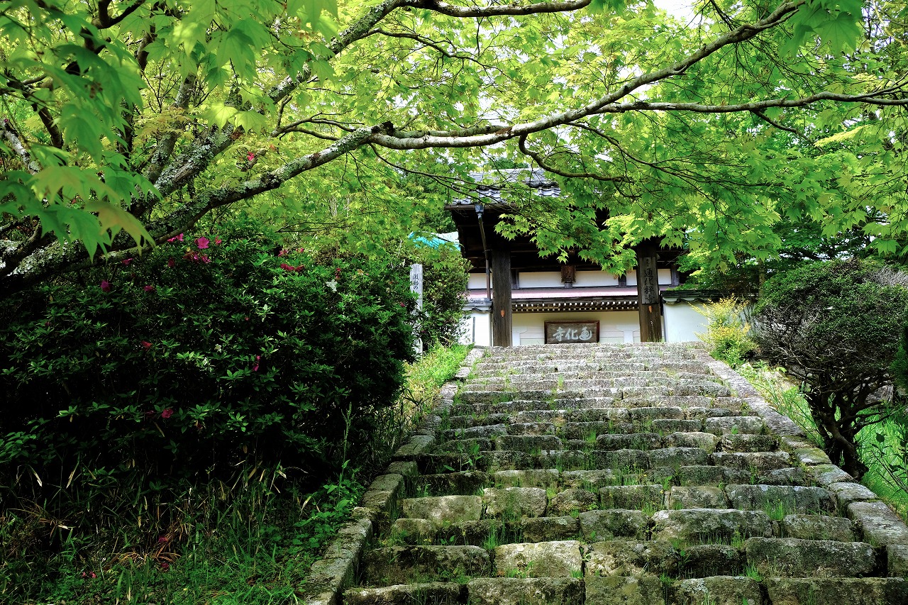 前島さん_寺