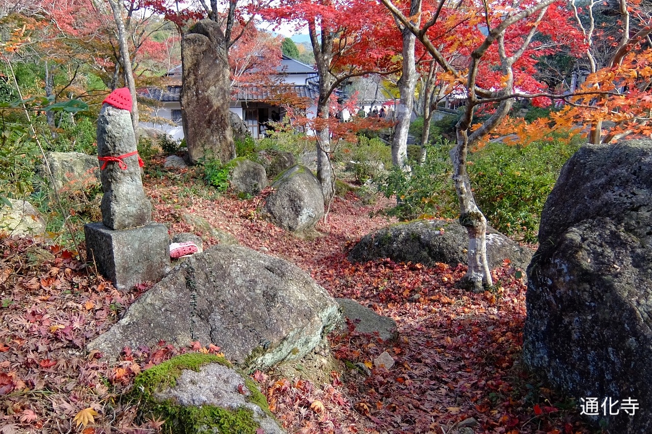 前島_通化寺