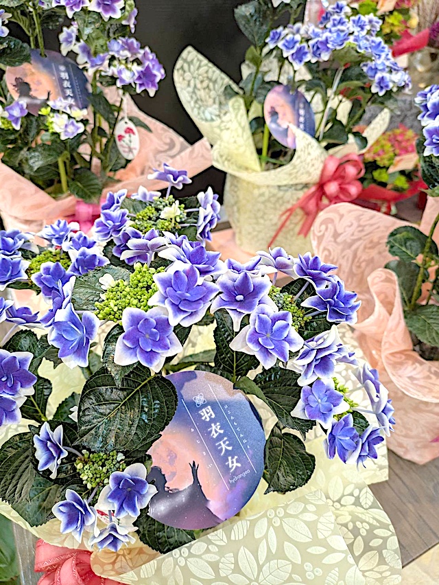 お花の写真2