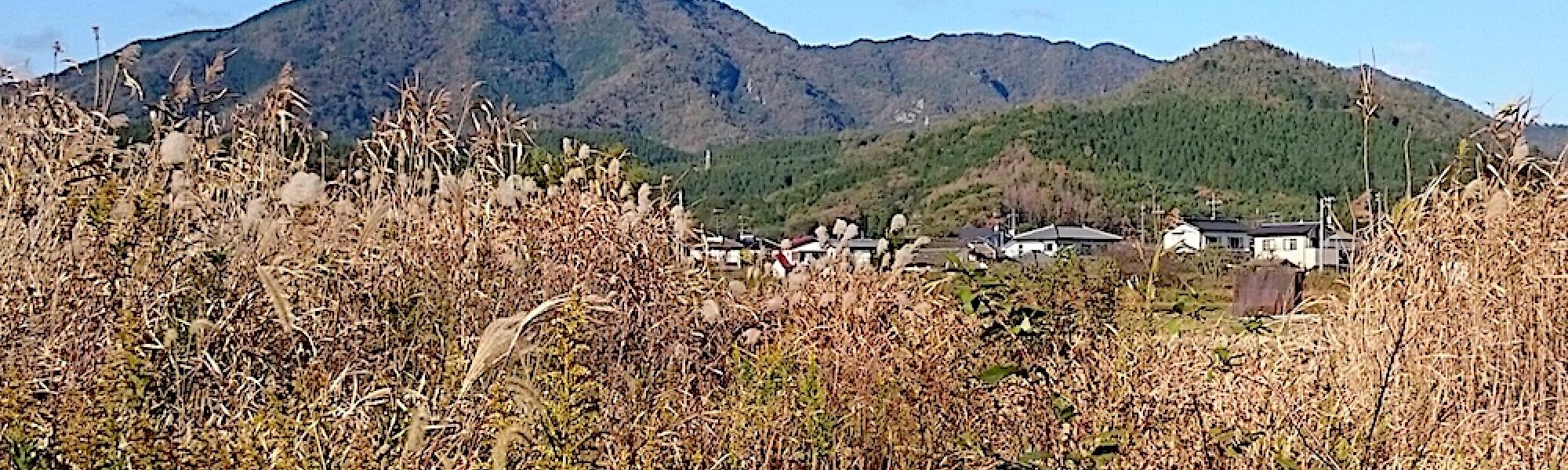 秋の風景_中島