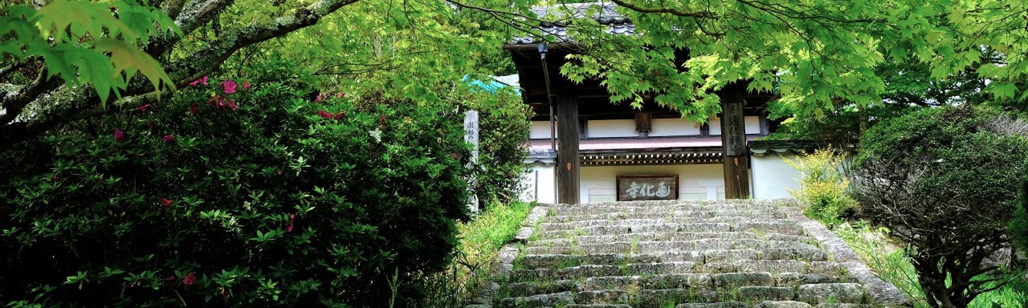 前島さん_寺