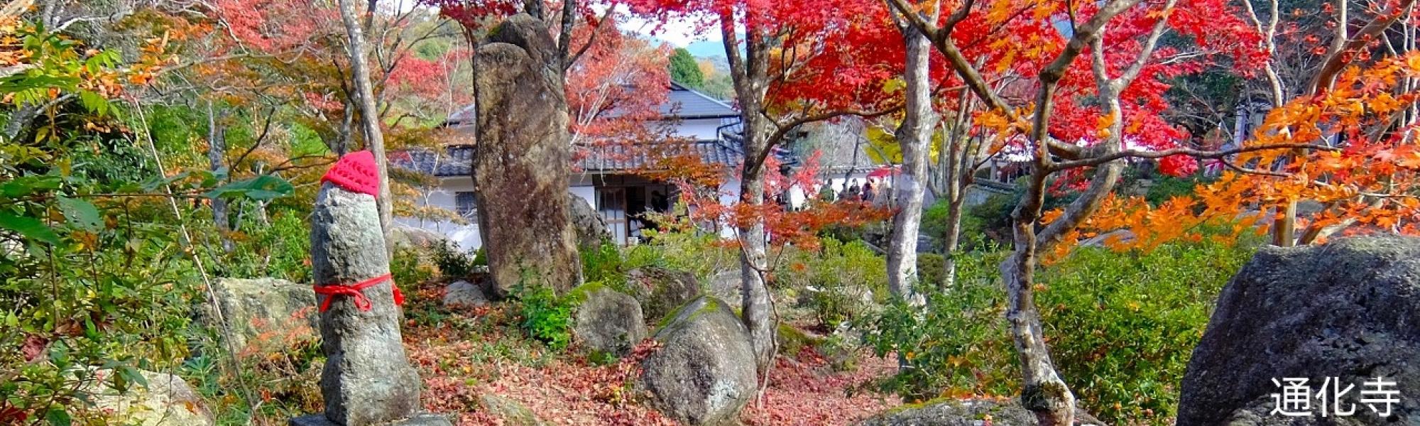 前島_通化寺