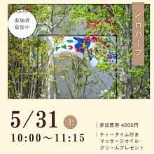 美巡のチラシ